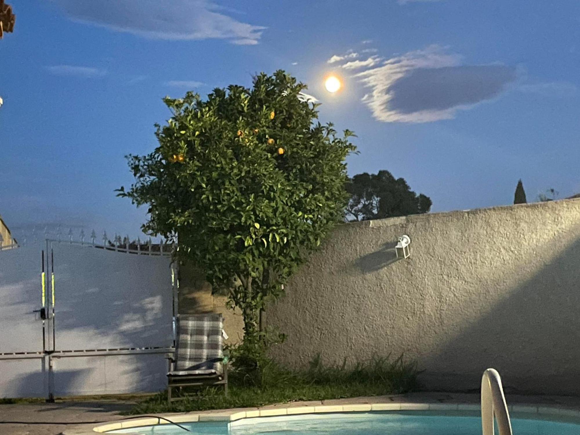 Appartement Bouvreuil Fos-sur-Mer Esterno foto